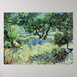Poster Oliveraie par Vincent van Gogh