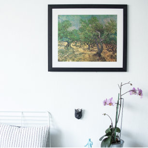 Poster Oliveraie par Vincent van Gogh, Beaux-Arts Vintage