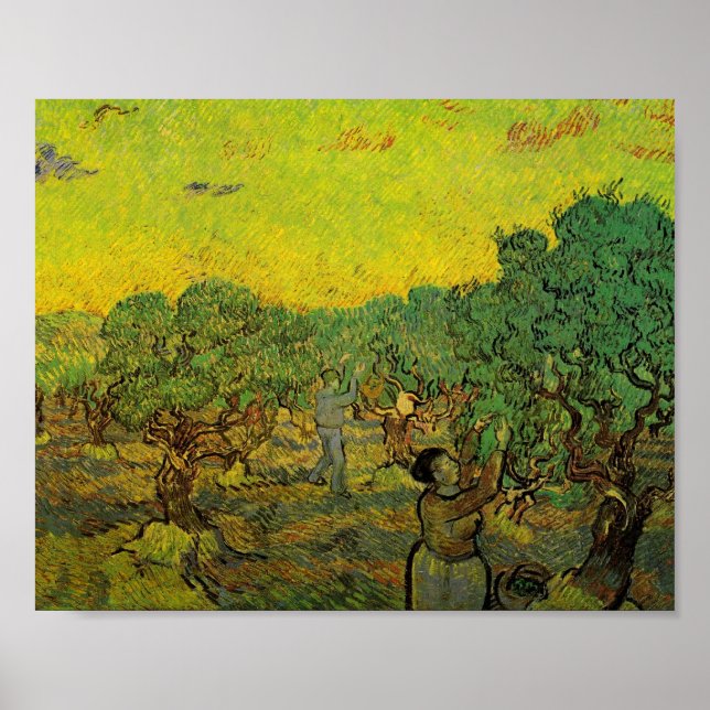 Poster Olivier Grove avec les chiffres de cueillette, Vin (Devant)