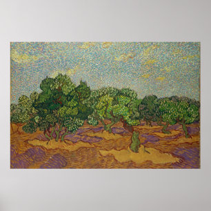 Poster Oliviers, Van Gogh