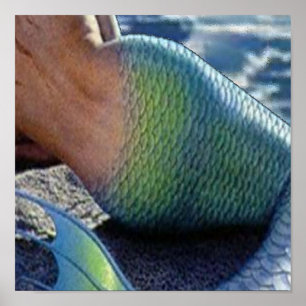 POSTER OLOKUN SIRENA