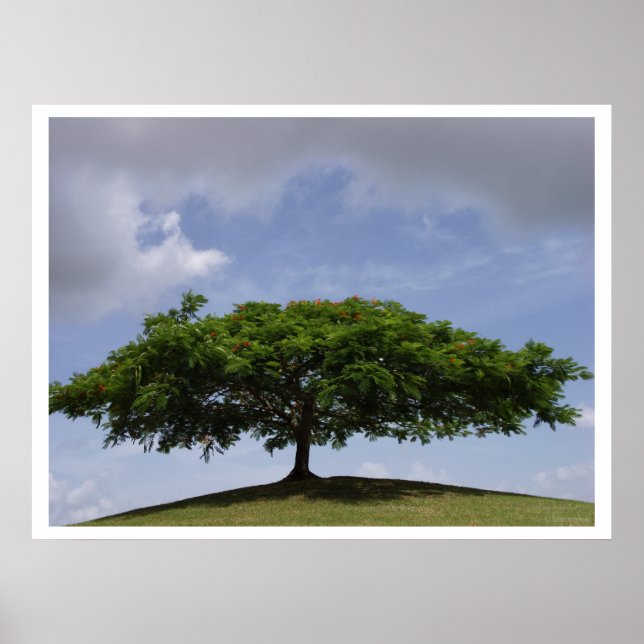 Poster ombrage (Devant)