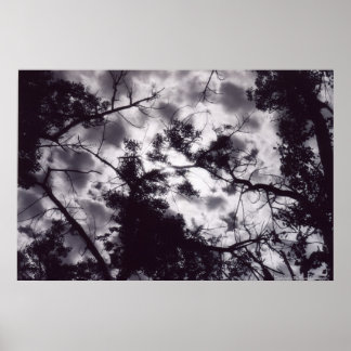 Poster Ombragé