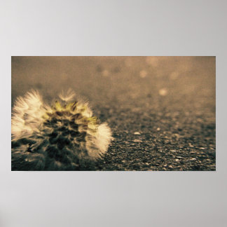 Poster Ombragé