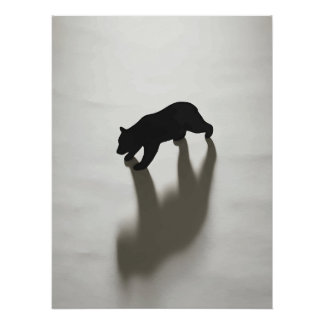 Poster Ombre d'ours noir dans une blanche solitude