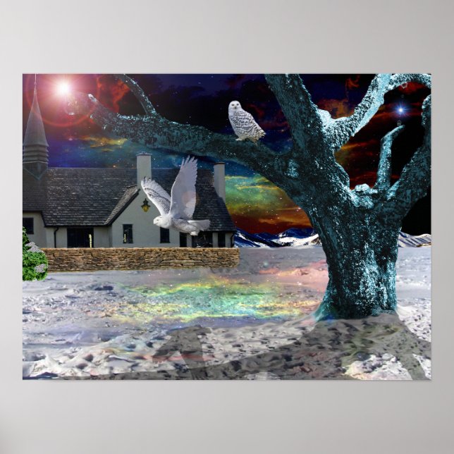 Poster Ombre du clair de lune (Devant)