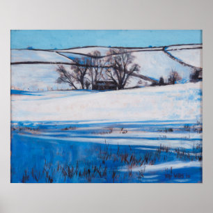 Poster Ombres de neige 2010