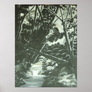 Poster Ombres Lune