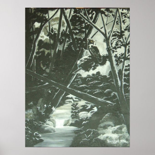 Poster Ombres Lune (Devant)