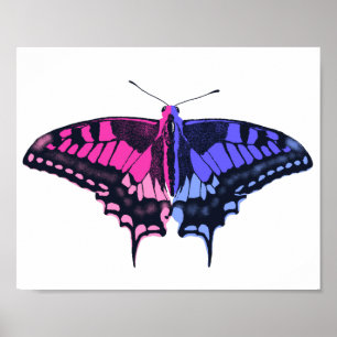 Poster Omnisexual Pride Flag Swallowtail Butterfly