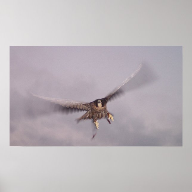 Poster On ne peut pas arrêter le tonnerre... (Devant)