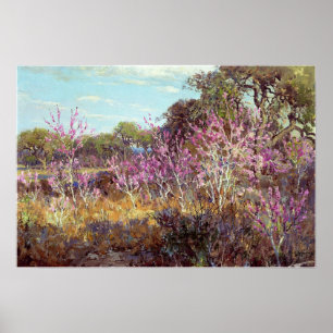 Poster Onderdonk - Redbud Tree In Bloom, Leon Springs