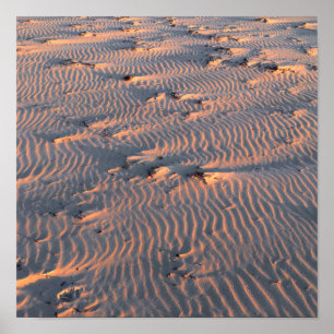 Poster ondulation de sable