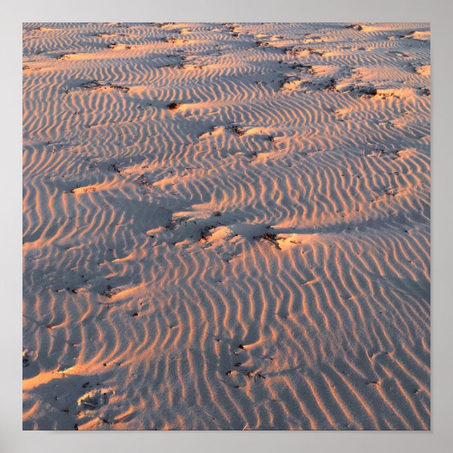 Poster ondulation de sable (Devant)