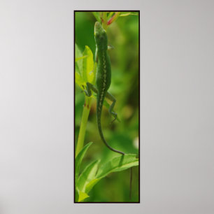 Poster Onglet95