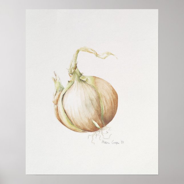 Poster Onion Study 1993 (Devant)