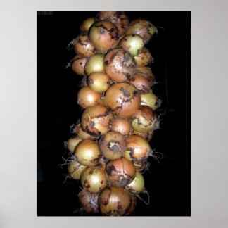 Poster Onions
