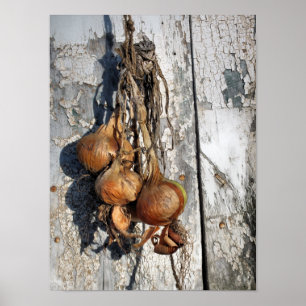 POSTER ONIONS