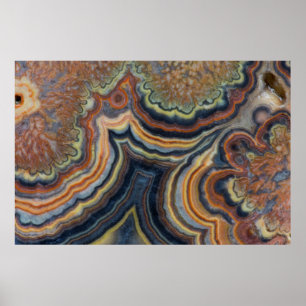 Poster Onyx du tube à fleurs