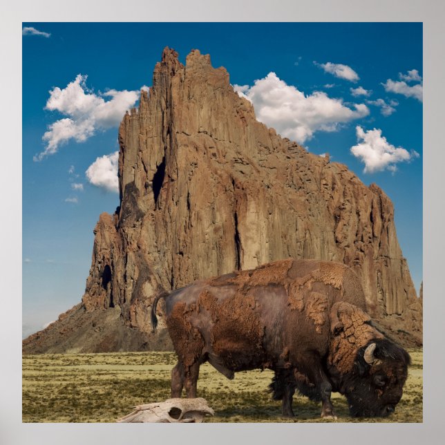 Poster Open Country (Devant)