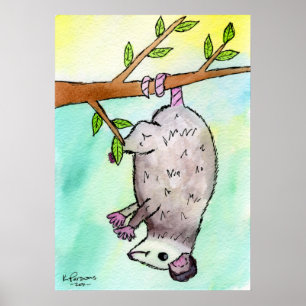 Poster Opossum Danglin