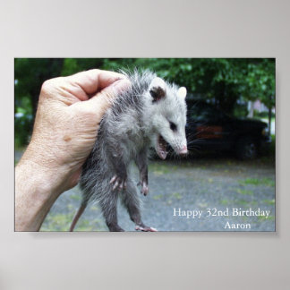Poster Opossum fou