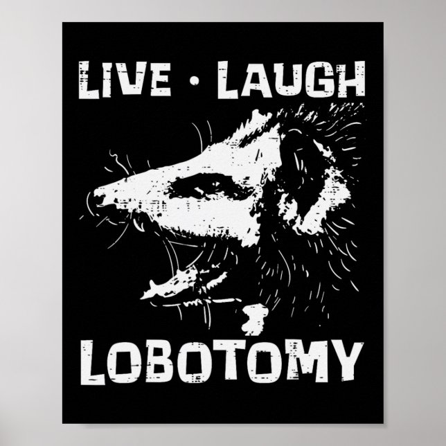 Poster Opossum Live Love Lobotomy Possum Street Trash Cat (Devant)