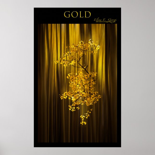 Poster Or (Devant)