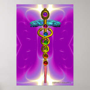 Poster OR CADUCUS 7 CHAKRAS, Yoga, Médicale rose Fuchsia