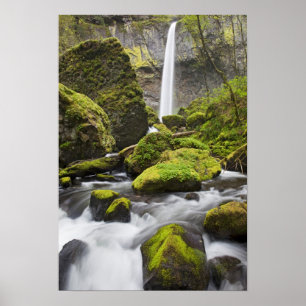 Poster OR, Columbia River Gorge, Elowah Falls et