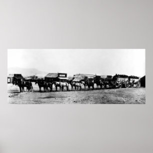 Poster OR ORE WAGONS - 14 MULES - CALIFORNIE c. 1905