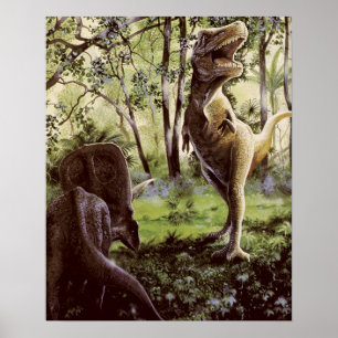 Poster or Print