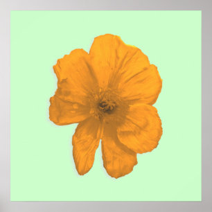 Poster Orange Aid/ PopArt Flower