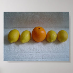 Poster Orange and Lemons