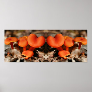 Poster Orange Champignons famille miroir Abstrait