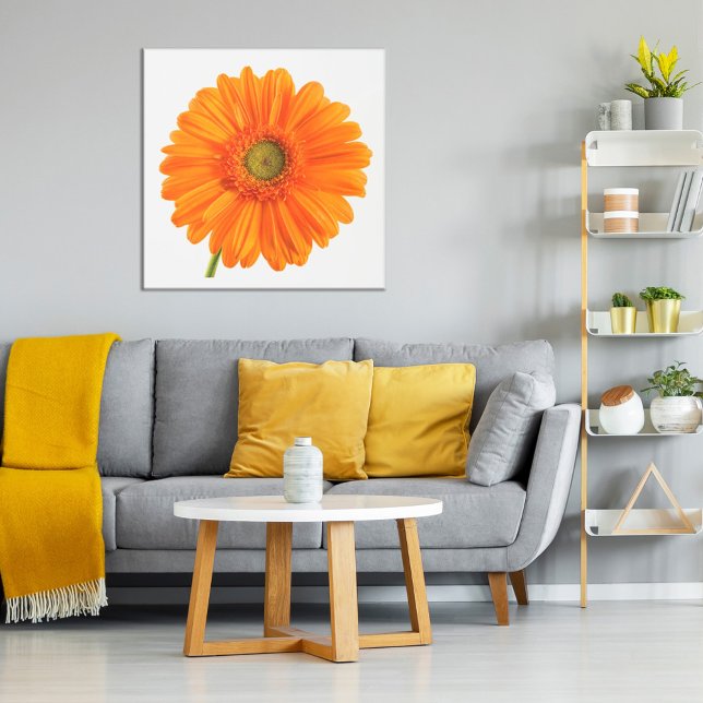 Poster Orange Gerbera Daisy fleur sur photo blanche (Créateur téléchargé)