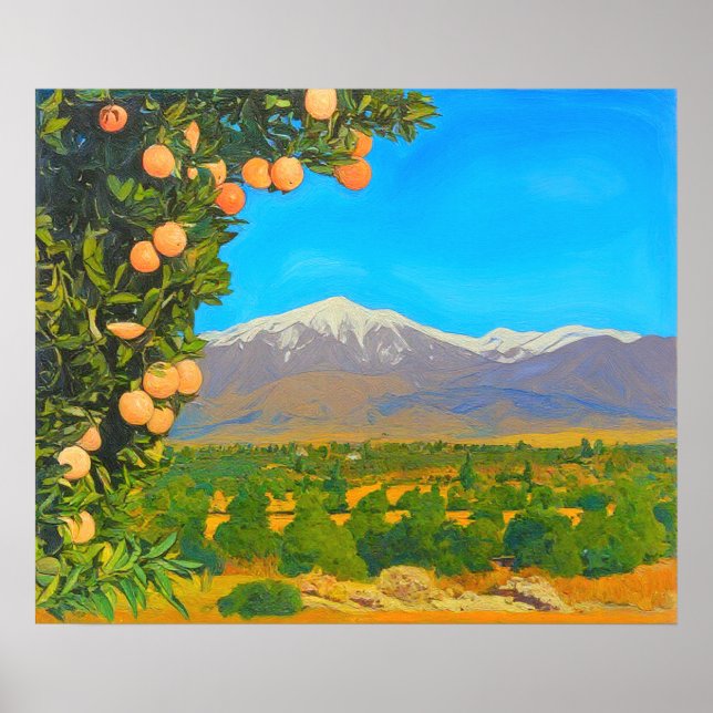 Poster Orange Groves Neige Carrée Mont Baldy Début 1900 (Devant)