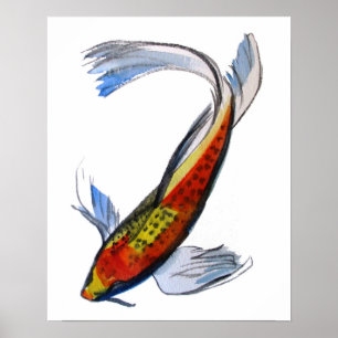 Poster Orange Koi japonais aquarelle poisson
