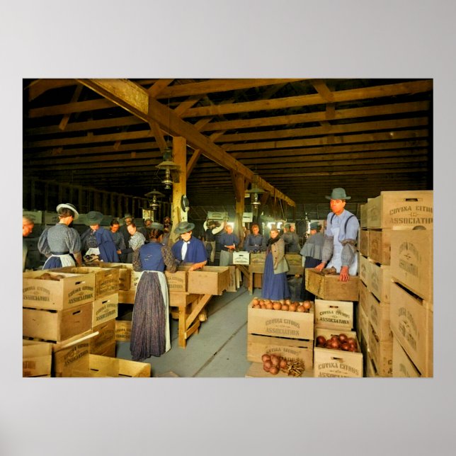 Poster Orange Packing House Probablement Covina Californi (Devant)