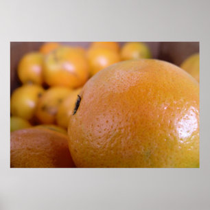 Poster Oranges 2