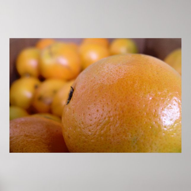 Poster Oranges 2 (Devant)