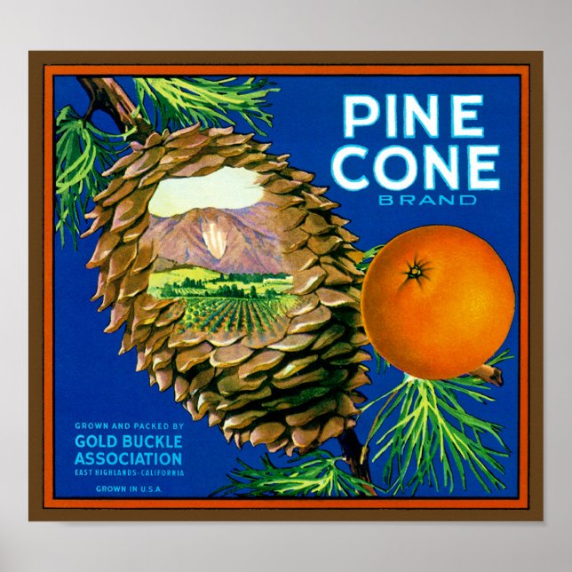 Poster Oranges de cône de pin (Devant)