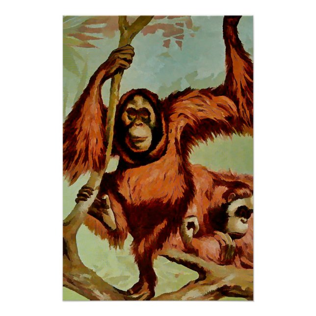 Poster orangs-outans vintages sur un arbre - (Devant)
