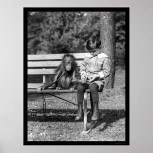 Poster Orangutan et garçon dans le parc 1920