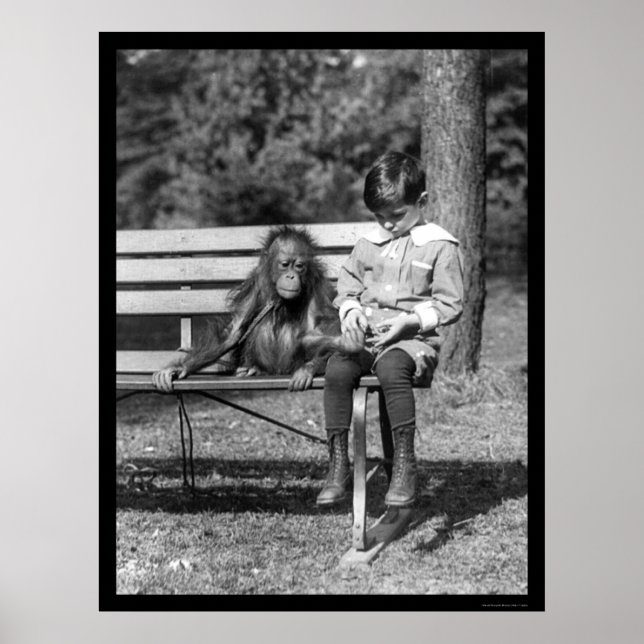 Poster Orangutan et garçon dans le parc 1920 (Devant)