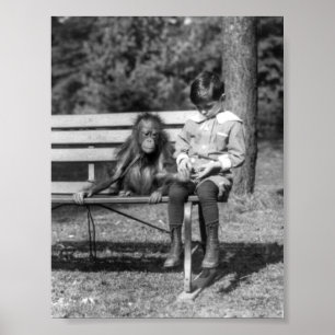 Poster Orangutan et garçon - Zoo national