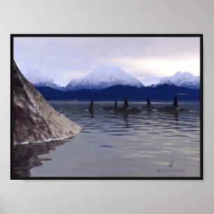 Poster Orca d'eau foncée