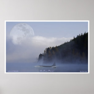 Poster Orca Killer Whale & Super Moon Wildlife Art