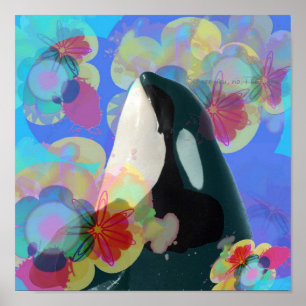 Poster Orca Whale Spy Hop Multicolor Graphic-Je Vous Vois