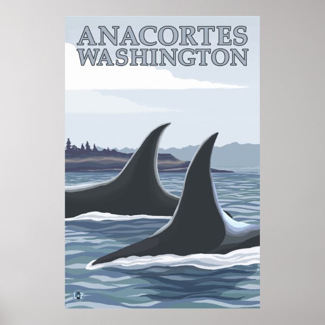 Poster Orca Whales #1 - Anacortes, Washington (Devant)